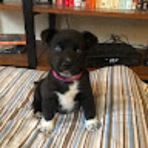 Meet your Posher, Felicity